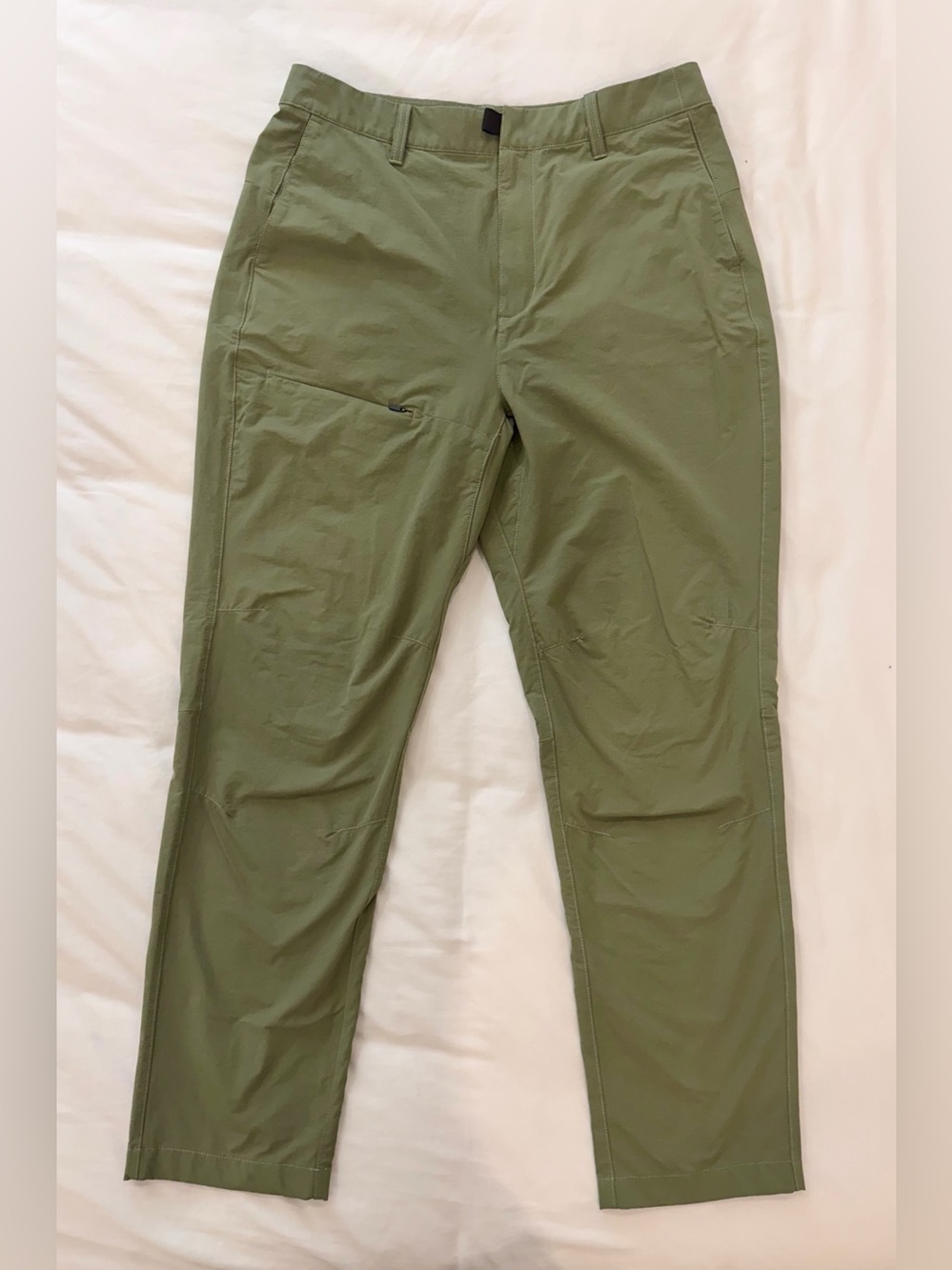 The North Face hiking pants (grandeur/size 10)
